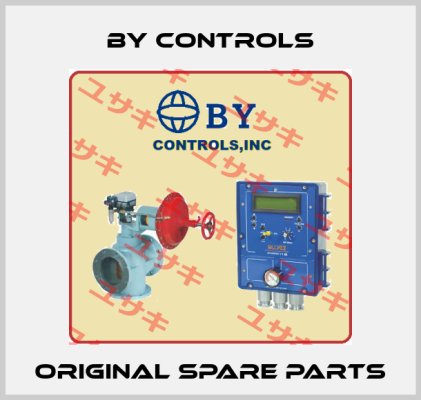 BY Controls