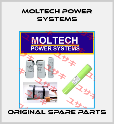 Moltech Power Systems