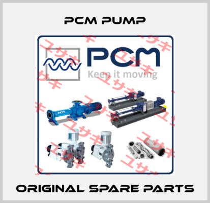 PCM Pump