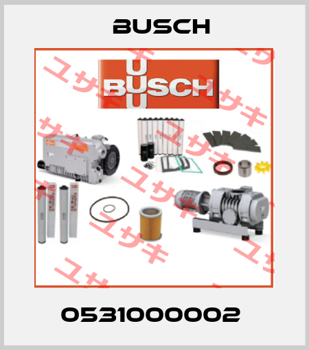 0531000002  Busch