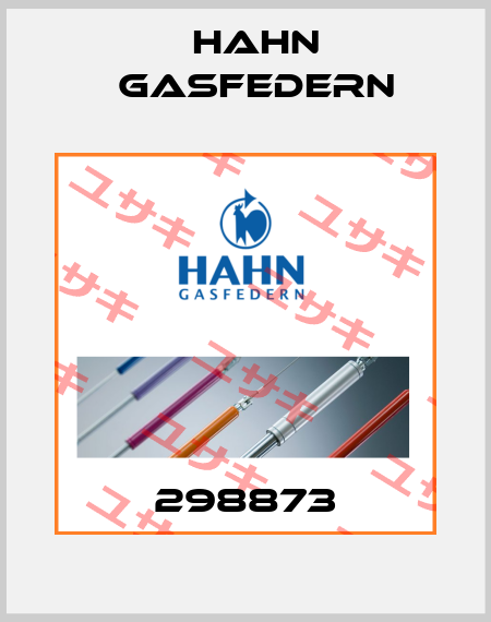 298873 Hahn Gasfedern