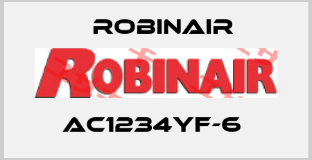 AC1234yf-6  Robinair