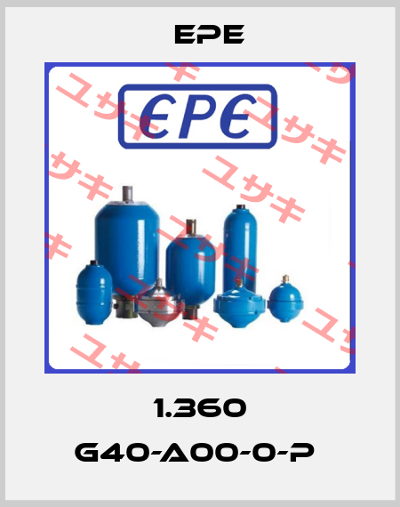 1.360 G40-A00-0-P  Epe