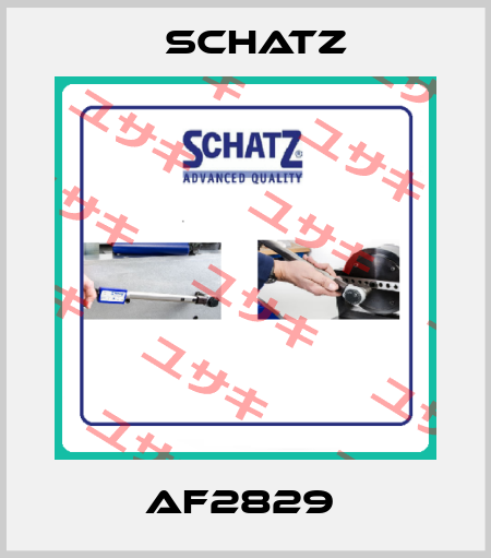 AF2829  Schatz