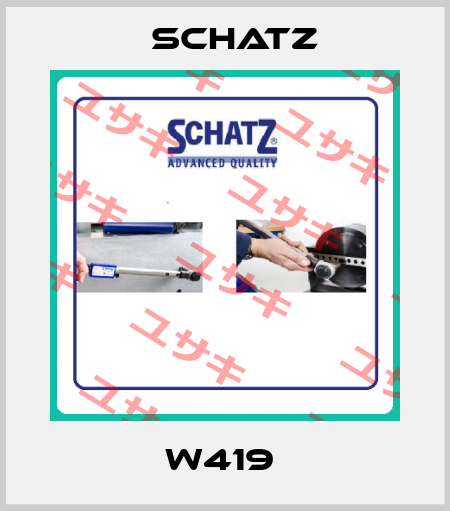 W419  Schatz