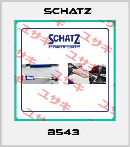 B543  Schatz