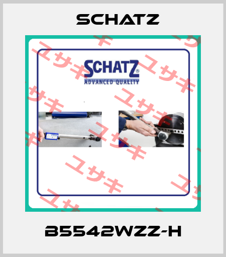 B5542WZZ-H Schatz