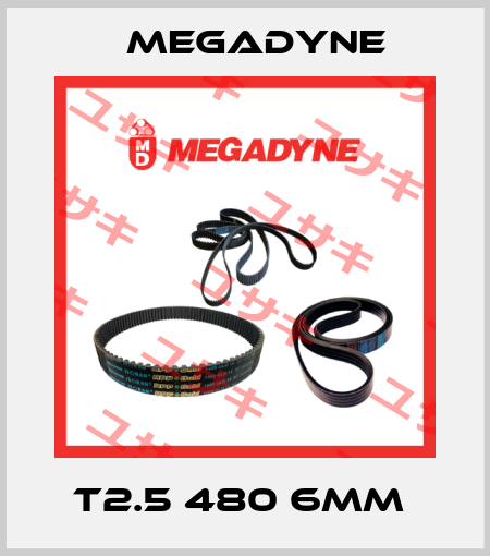 T2.5 480 6mm  Megadyne