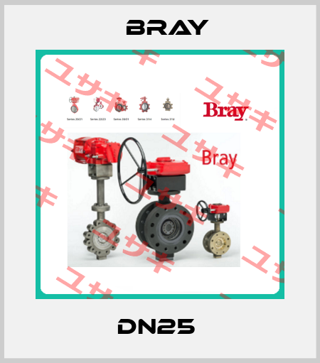 DN25  Bray
