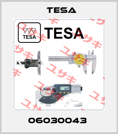 06030043  Tesa