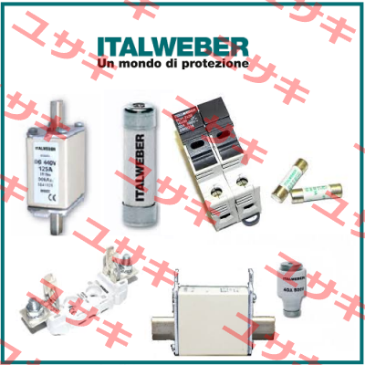 0100250 (pack x10) Italweber