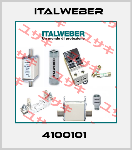 4100101  Italweber
