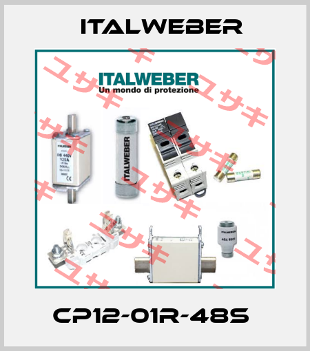 CP12-01R-48S  Italweber