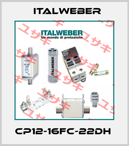 CP12-16FC-22DH  Italweber