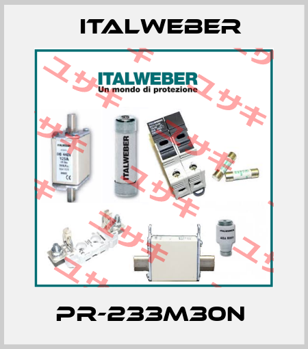 PR-233M30N  Italweber
