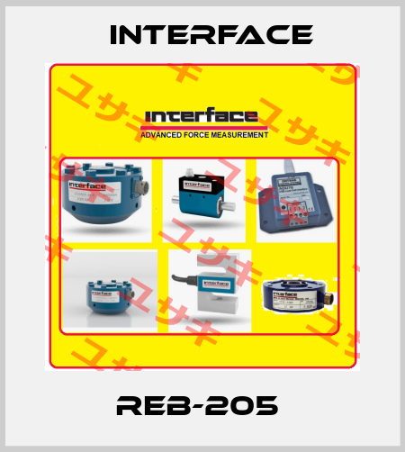 REB-205  Interface