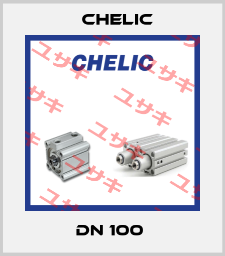 DN 100  Chelic