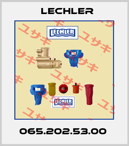 065.202.53.00  Lechler