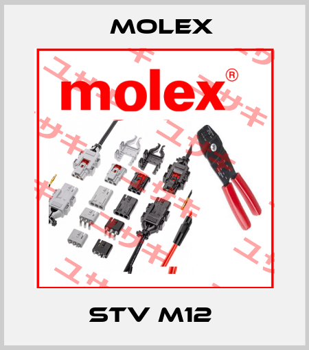 STV M12  Molex