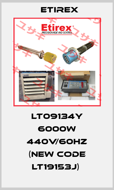 LT09134Y 6000W 440V/60Hz (new code LT19153j)  Etirex