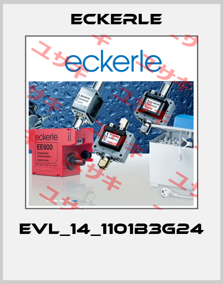 EVL_14_1101B3G24  Eckerle