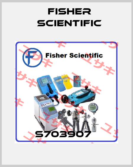 S703907   Fisher Scientific