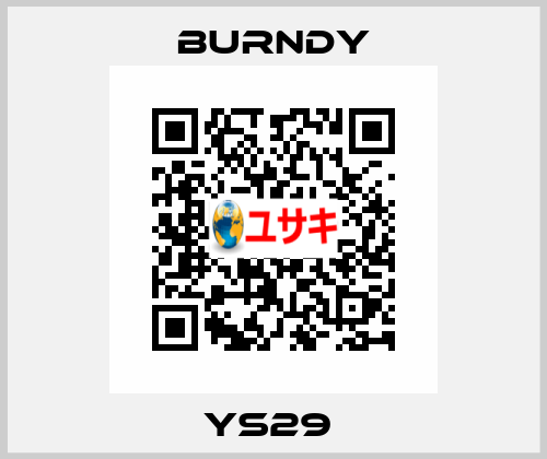 YS29  Burndy