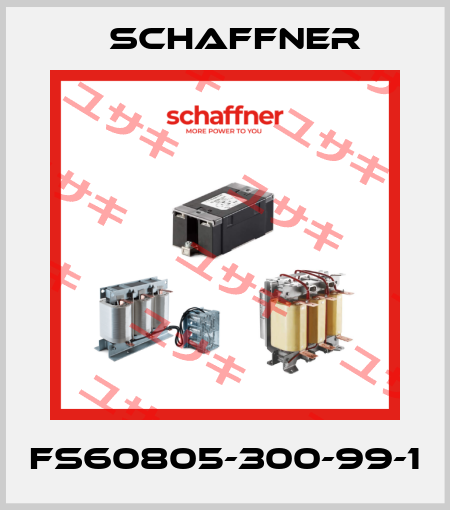 FS60805-300-99-1 Schaffner