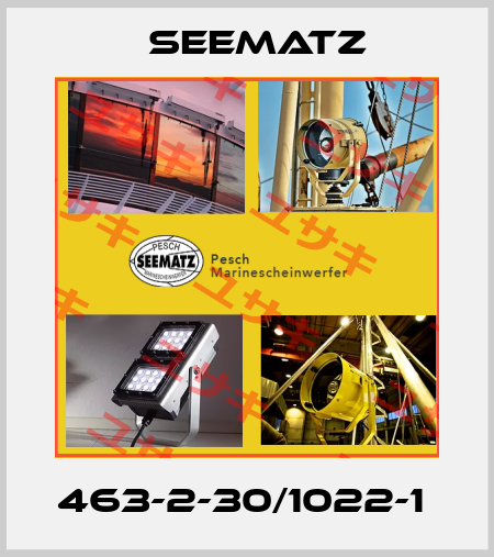 463-2-30/1022-1  Seematz