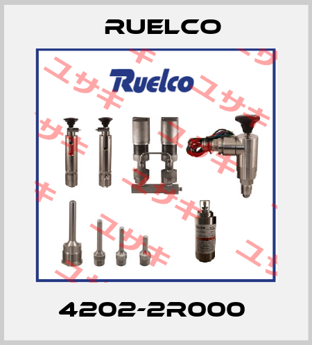 4202-2R000  Ruelco