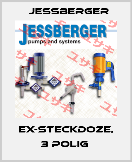 Ex-Steckdoze, 3 polig  Jessberger