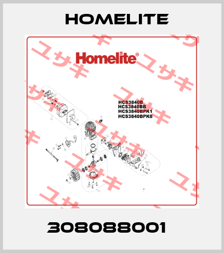 308088001   Homelite