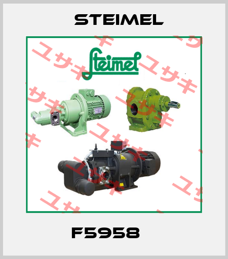 F5958    Steimel