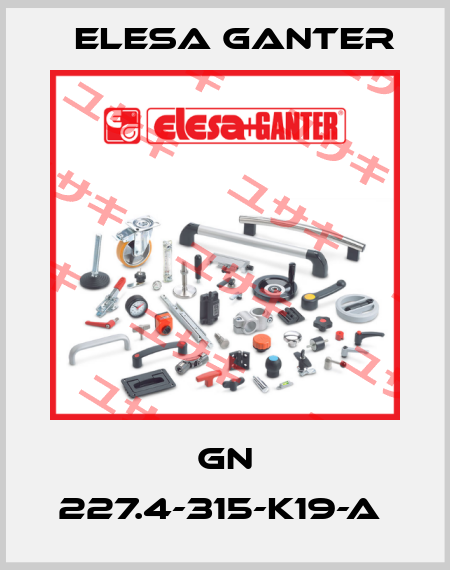 GN 227.4-315-K19-A  Elesa Ganter