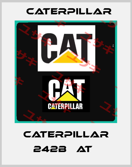 CATERPILLAR 242B   AT   Caterpillar