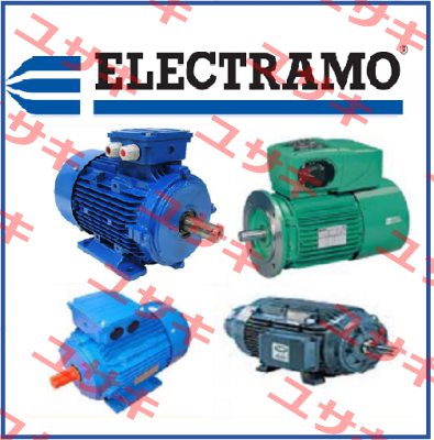 1L160L-4B35  Electramo