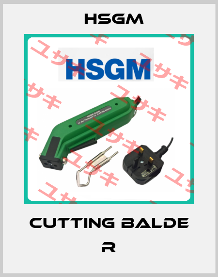 Cutting balde R HSGM