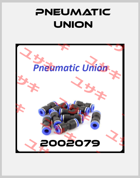 2002079 PNEUMATIC UNION
