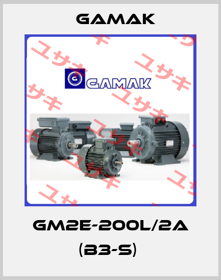 GM2E-200L/2a (B3-S)  Gamak