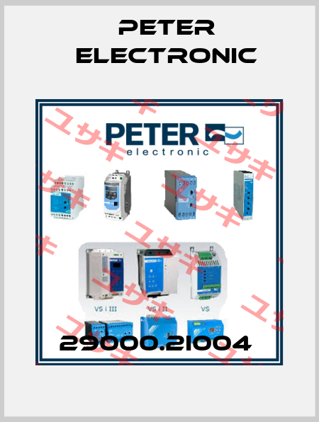 29000.2I004  Peter Electronic