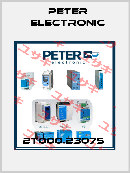 2T000.23075  Peter Electronic