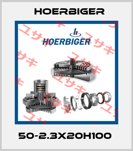 50-2.3X20H100  Hoerbiger
