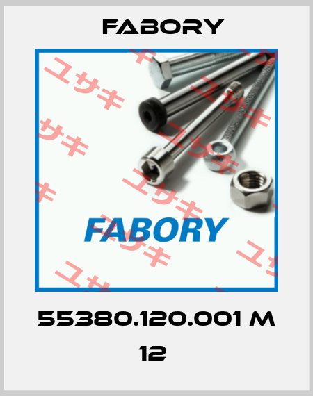 55380.120.001 M 12  Fabory