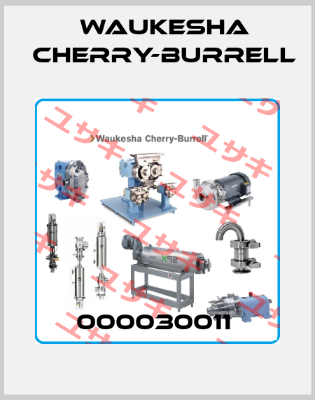 000030011  Waukesha Cherry-Burrell
