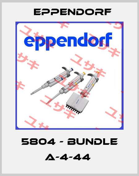 5804 - BUNDLE A-4-44  Eppendorf