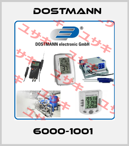 6000-1001  Dostmann