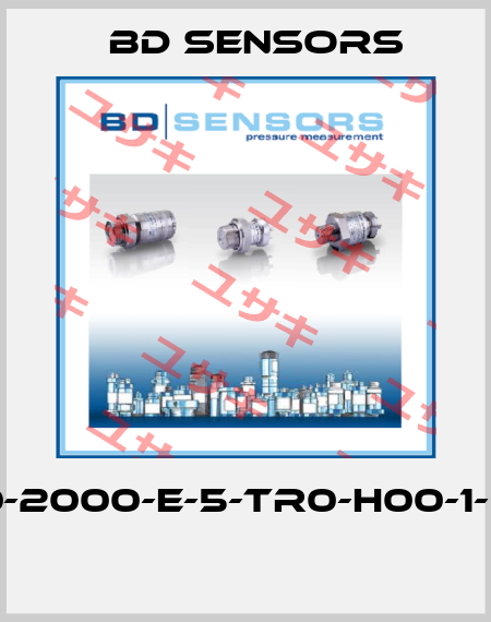 600-2000-E-5-TR0-H00-1-000  Bd Sensors