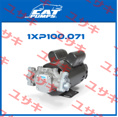 1XP100.071 Cat Pumps