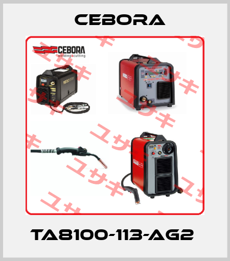 TA8100-113-AG2  Cebora