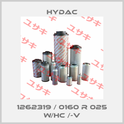 1262319 / 0160 R 025 W/HC /-V Hydac